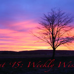 Weekly Wisdom – Matthew 11:28-30 | Rest for the Soul