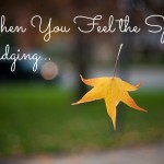 Weekly Wisdom: When You Feel the Spirit Nudging…
